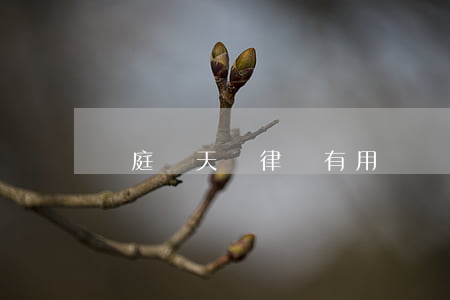 開庭當天請律師有用嗎(開庭只有律師去有影響嗎)