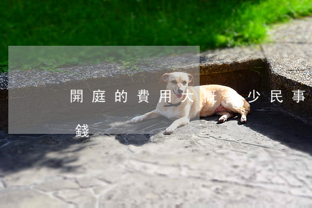 開庭的費用大概多少(民事訴訟開庭費要多少錢)