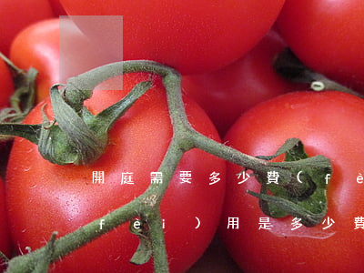 開庭需要多少費(fèi)用(法院開庭費(fèi)用是多少?費(fèi)用是多少開)