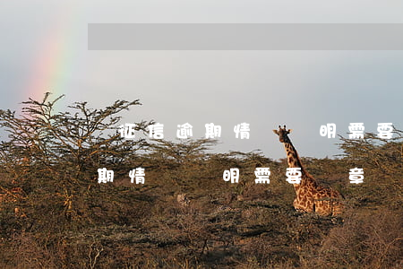 開征信逾期情況說明需要蓋章嗎-開征信逾期情況說明需要蓋章嗎怎么寫