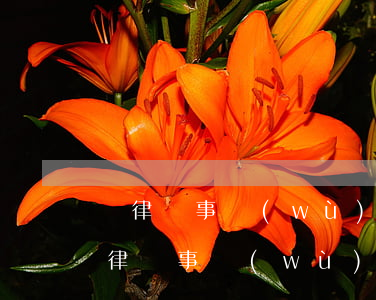 開律師事務(wù)所要具備什么條件(成立律師事務(wù)所的條件)