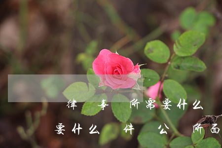 開律師事務所需要什么條件(開律師事務所需要什么條件 辦公場所 面積)