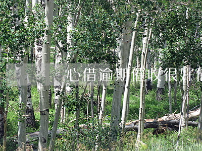 開心借逾期催收 很好借催收