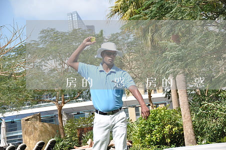 開房的誘惑(開房的誘惑)