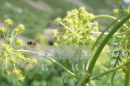 開滴滴車車禍后傷殘后有賠償嗎?(開滴滴車車禍后傷殘后有賠償嗎?)