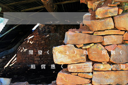 開發(fā)商“一房數(shù)賣”，懲罰性賠償應(yīng)如何適用？