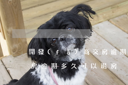 開發(fā)商交房逾期(開發(fā)商交房逾期多久可以退房)