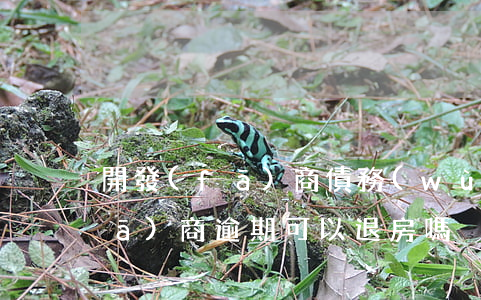 開發(fā)商債務(wù)逾期(開發(fā)商逾期可以退房嗎)
