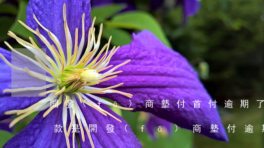 開發(fā)商墊付首付逾期了被起訴(首付款是開發(fā)商墊付逾期算違約嘛)