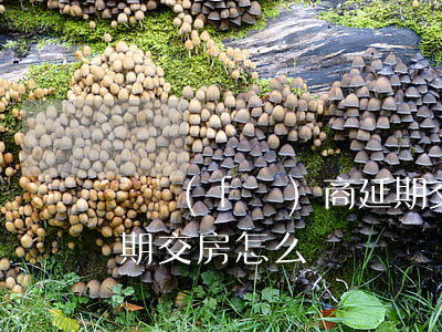 開發(fā)商延期交房(開發(fā)商延期交房怎么鬧)
