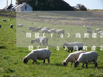 開發(fā)商房產證逾期4年能起訴-開發(fā)商房產證逾期多久不能起訴