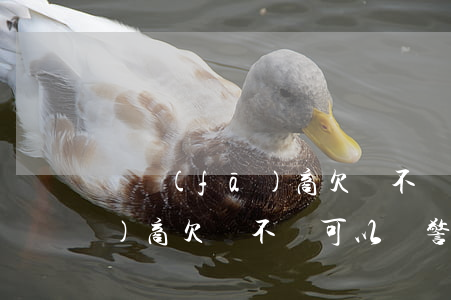 開發(fā)商欠錢不給打官司(開發(fā)商欠錢不還可以報警嗎)
