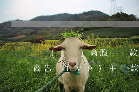 開發(fā)商股東貸款逾期(開發(fā)商告業(yè)主貸款違約)