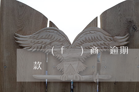 開發(fā)商說逾期沒辦貸款(逾期無法貸款)