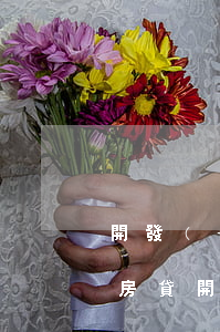 開發(fā)商起訴業(yè)主逾期拖欠房貸(開發(fā)商起訴業(yè)主逾期拖欠房貸)