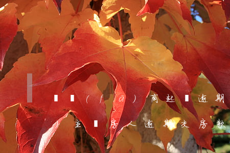 開發(fā)商起訴逾期交房貸的業(yè)主(購房人逾期交房款被起訴)