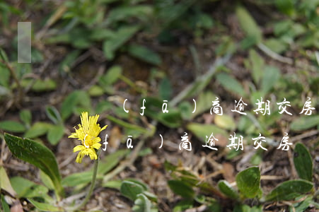 開發(fā)商逾期交房法院怎么判決 開發(fā)商逾期交房訴訟時效