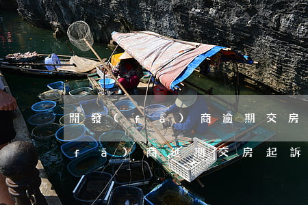 開發(fā)商逾期交房的訴訟書-開發(fā)商延期交房起訴書