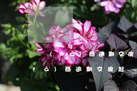 開發(fā)商逾期交房的起訴書(告開發(fā)商逾期交房起訴書怎么寫)