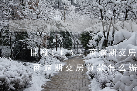 開發(fā)商逾期交房貸款(開發(fā)商逾期交房,貸款怎么辦)