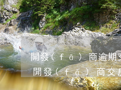 開發(fā)商逾期交房起訴有什么后果-開發(fā)商交房逾期怎么賠償