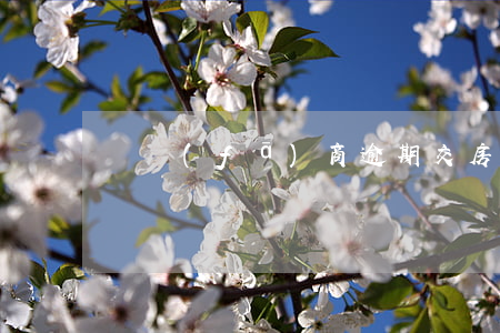 開發(fā)商逾期交房起訴賠償案例