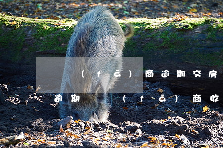 開發(fā)商逾期交房違約金怎么收(房貸逾期開發(fā)商收違約金)