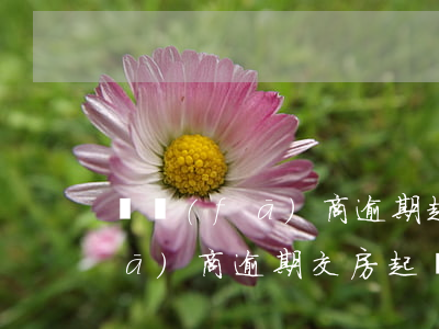 開發(fā)商逾期起訴算房產嗎(開發(fā)商逾期交房起訴期限)