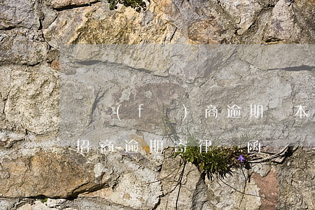 開發(fā)商逾期辦本發(fā)律師函(招商逾期寄律師函)