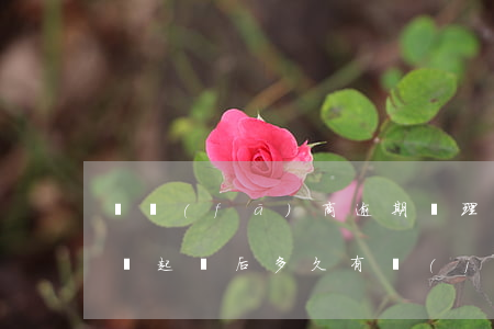 開發(fā)商逾期辦理房產(chǎn)證起訴后多久有結(jié)果（房產(chǎn)證逾期多久會被起訴）