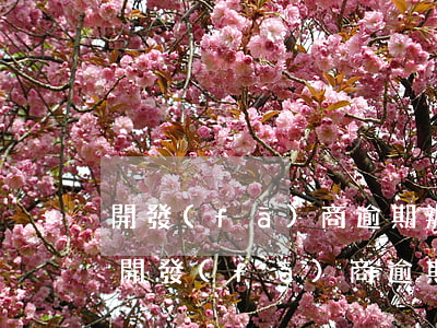 開發(fā)商逾期辦證違約金固定比例-開發(fā)商逾期辦證違約金依法主張幾年