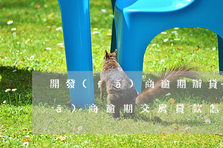 開發(fā)商逾期辦貸款怎么辦(開發(fā)商逾期交房,貸款怎么辦)