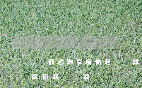 開發商逾期交房有起訴時效嗎 開發商逾期交房有起訴時效嗎