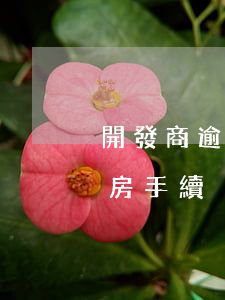 開發商逾期退房成功案例 開發商逾期交房退房手續