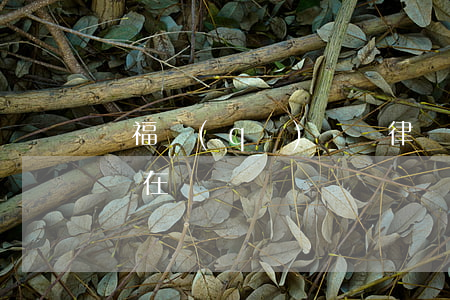 開福區(qū)債務律師(開福區(qū)律師在線)