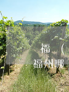 開福區(qū)律師事務(wù)所哪個好(福州哪個律師事務(wù)所律師比較出名)