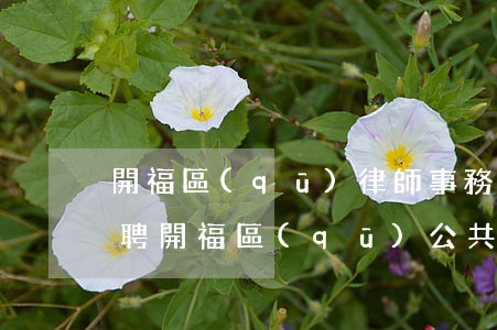 開福區(qū)律師事務(wù)所行政招聘(開福區(qū)公共法律服務(wù)中心)