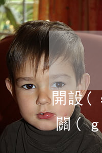 開設(shè)賭場(chǎng)犯罪相關(guān)刑法法律問題