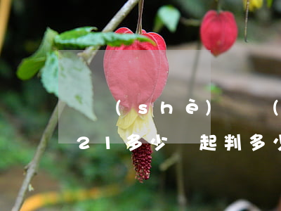 開設(shè)賭場(chǎng)罪2021多少錢起判(多少錢構(gòu)成開設(shè)賭場(chǎng)罪)