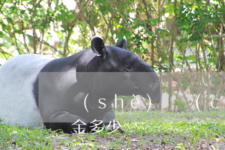 開設(shè)賭場(chǎng)罪6萬罰金多少