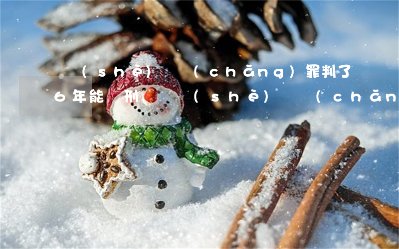 開設(shè)賭場(chǎng)罪判了6年能減刑嗎(開設(shè)賭場(chǎng)罪判一年半算嚴(yán)重嗎)