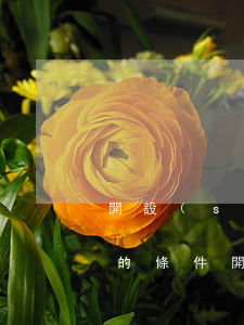 開設(shè)賭場(chǎng)罪減刑的條件(開設(shè)賭場(chǎng)罪可以減刑嗎可以減多少)
