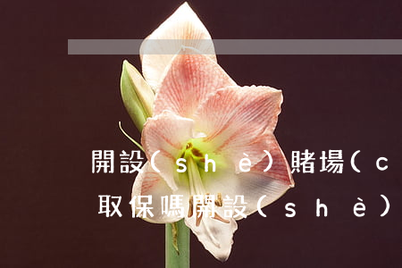開設(shè)賭場(chǎng)罪能夠取保嗎(開設(shè)賭場(chǎng)罪可以取保嗎)