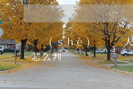 開設(shè)賭場幫人打工的(給賭場打工怎么判)