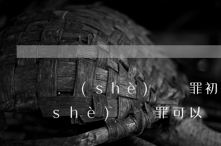 開設(shè)賭場罪初犯能減刑嗎(開設(shè)賭場罪可以減刑嗎可以減多少)