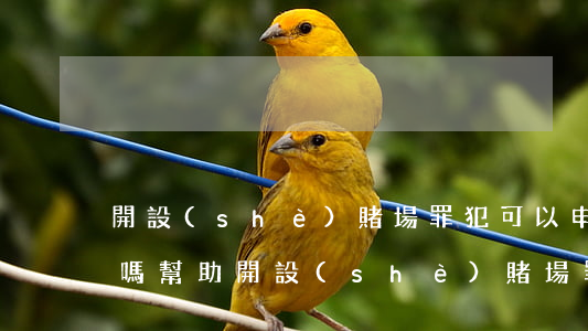 開設(shè)賭場罪犯可以申請法律援助嗎(幫助開設(shè)賭場罪)