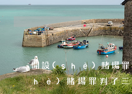 開設(shè)賭場罪獲刑3個月(開設(shè)賭場罪判了三年)
