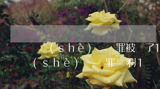 開設(shè)賭場罪被罰了100萬(開設(shè)賭場罪獲利1萬會(huì)罰多少)