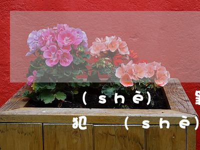 開設(shè)賭場罪辯護(hù)詞最輕從犯(開設(shè)賭場罪的司法解釋的理解與適用)