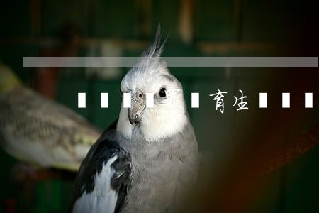 開設賭場罪鄭育生(開設賭場罪)